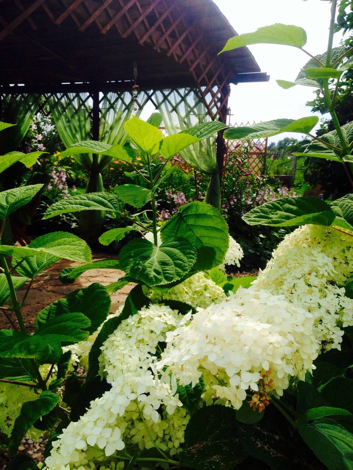 Романтический сад