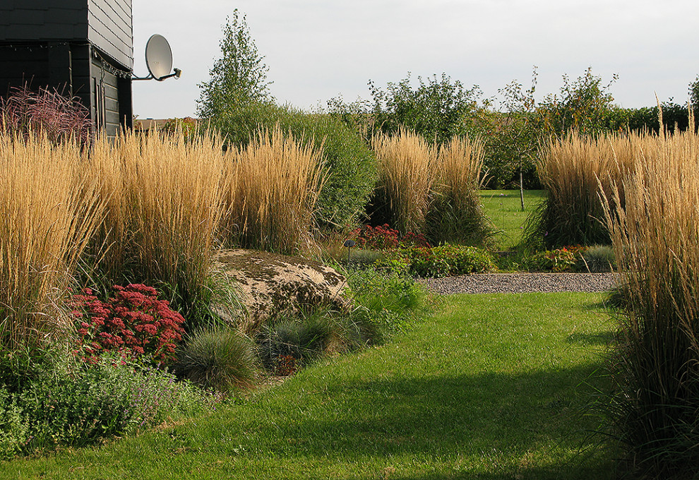 Houzz Белоруссия: Сад в тумане