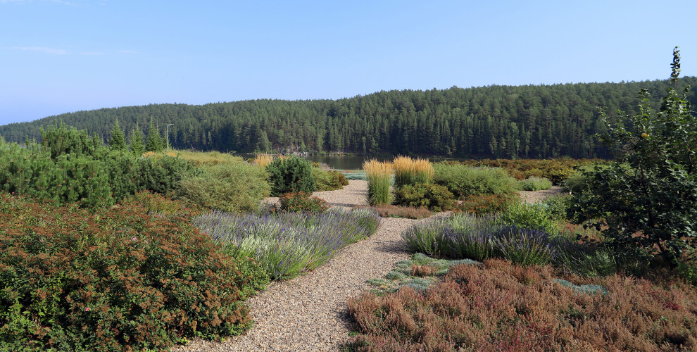 Полынный берег. Новые снимки