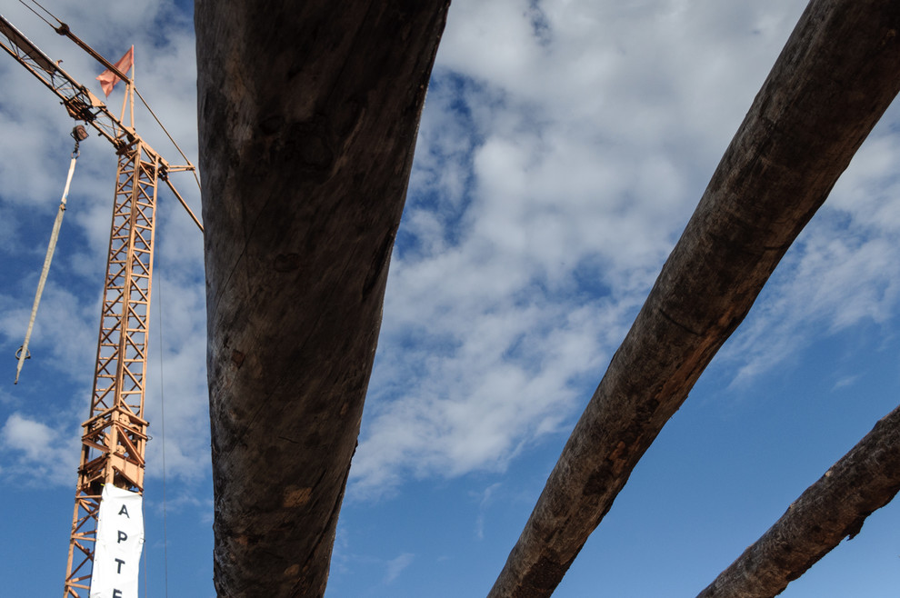 Производство и заготовка