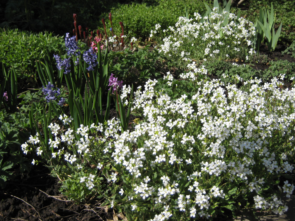 Ландшафтный проект участка в Опалихе