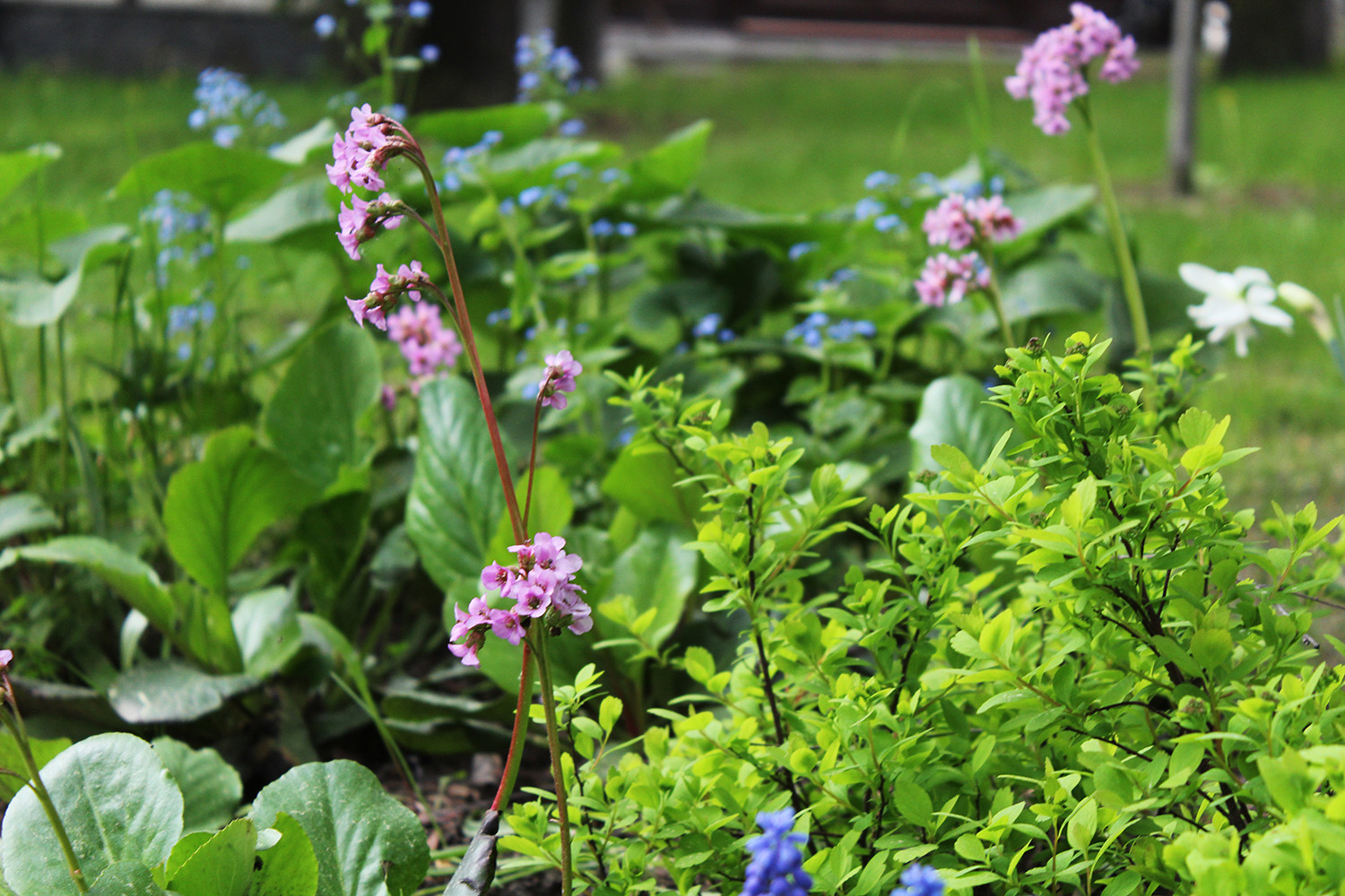 Генеральские дачи