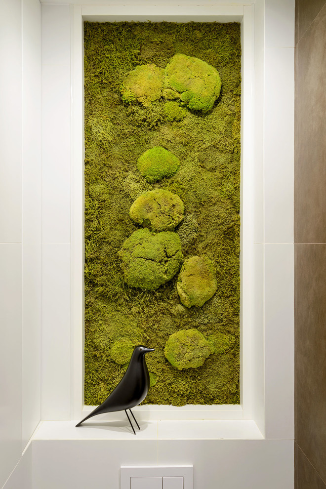 Обложка альбома: СТАБИЛИЗИРОВАННЫЕ