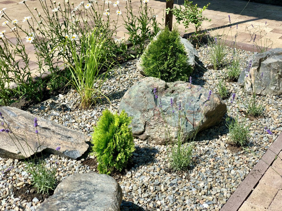 Привет, станица!