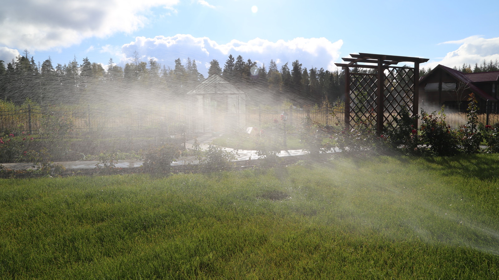 Обложка проекта: Проект автополива 37 соток