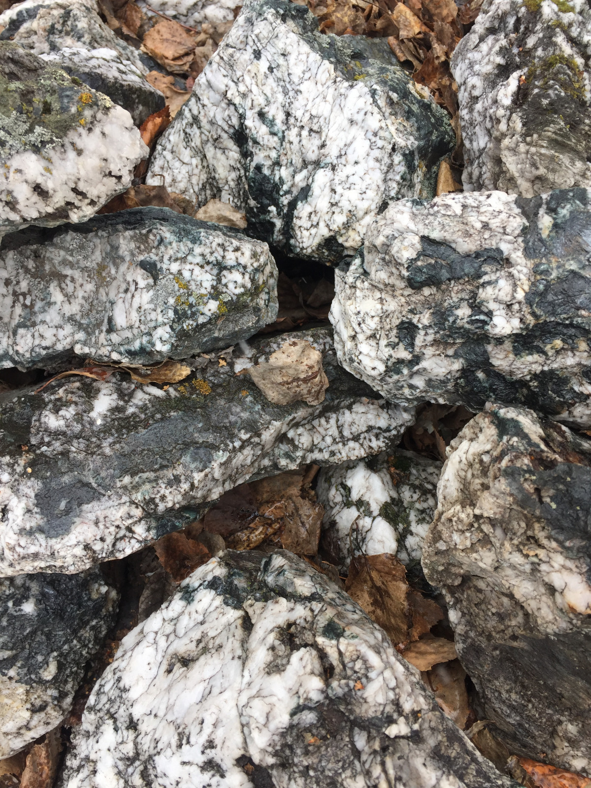 Декоративные камни используемые в ландшафтном дизайне