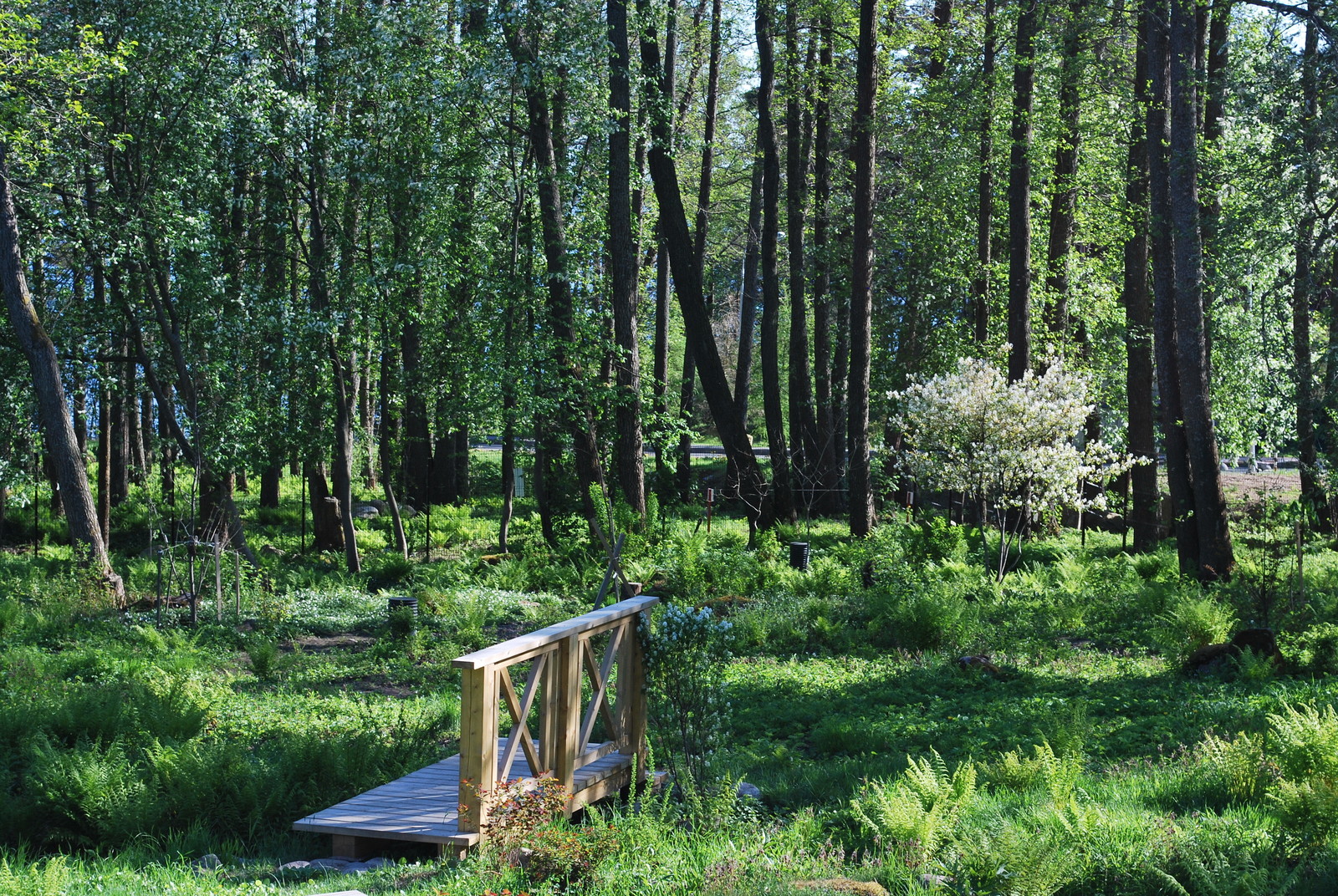 Сад натуралистического стиля