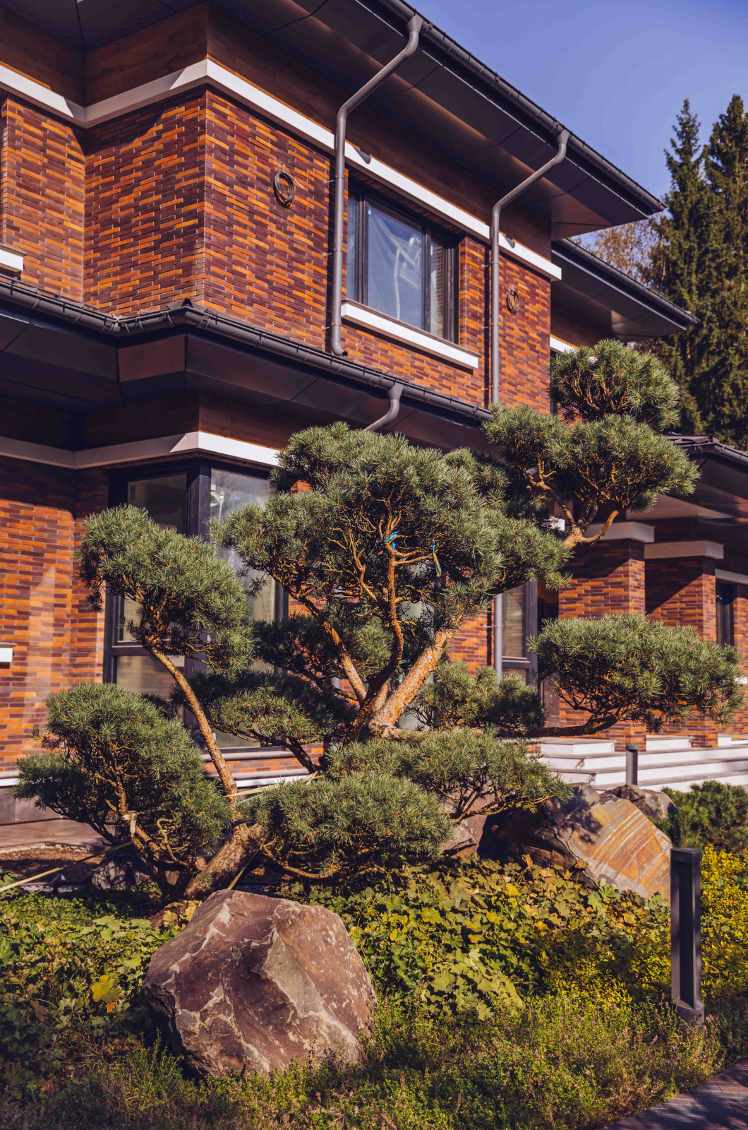 Архитектурное Решение в Пейзажном Стиле