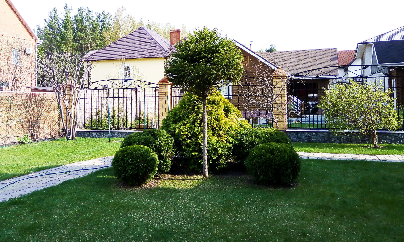 Обрезка и стрижка деревьев и кустарников