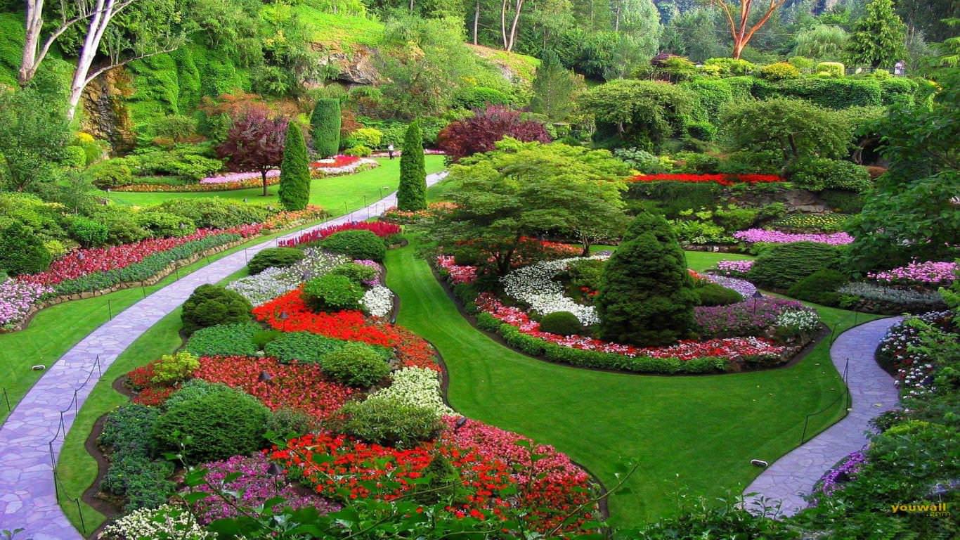 LANDSCAPE DESIGN