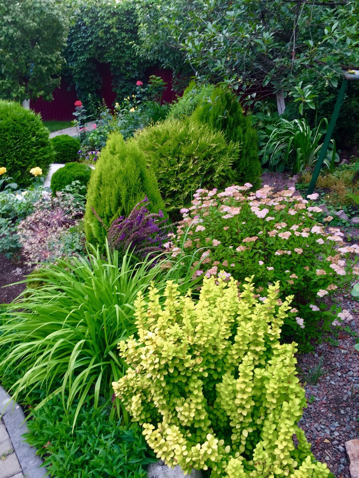 «Сад созерцания»