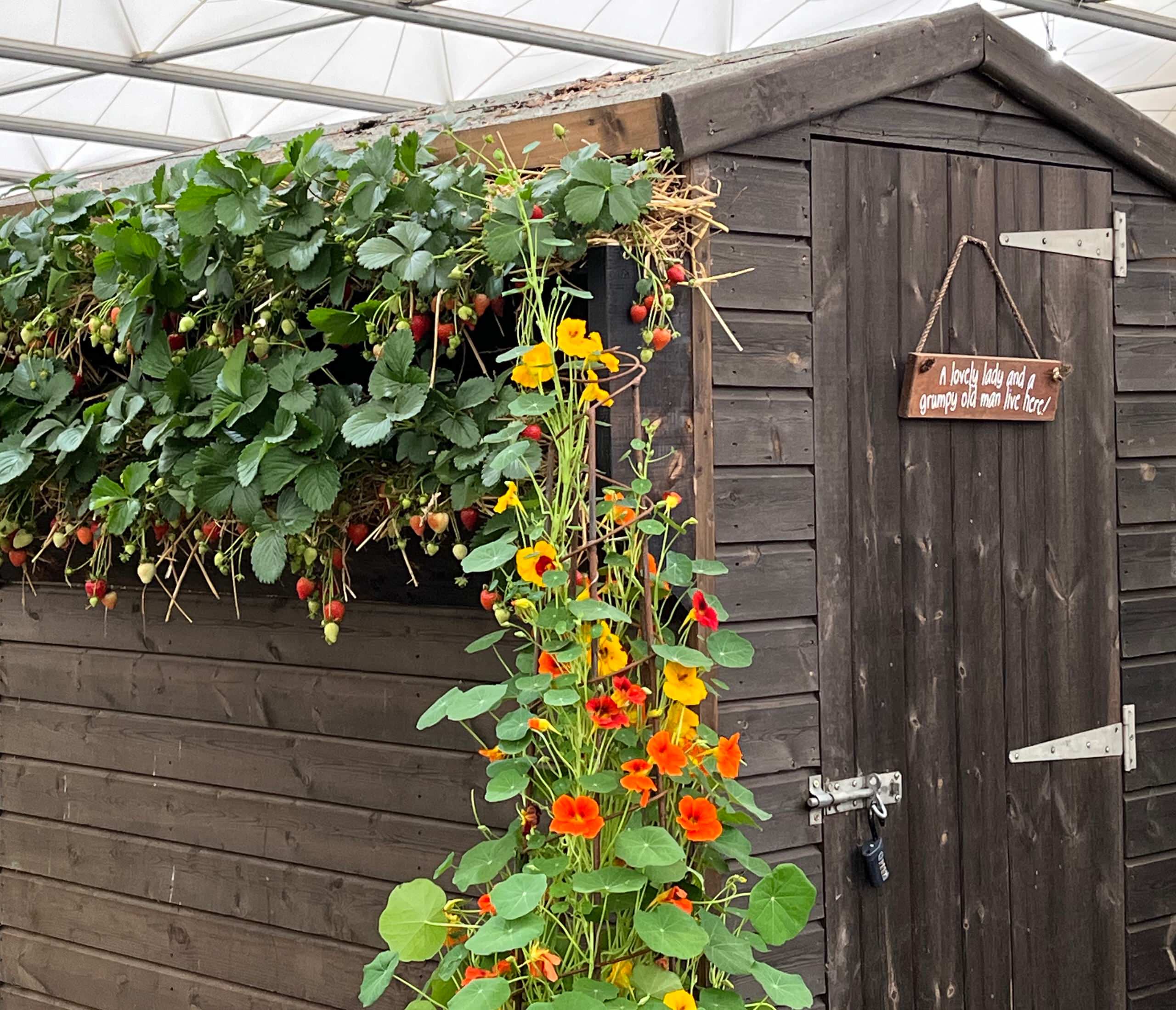 Выставка в Челси: 7 вдохновляющих идей для маленьких садов