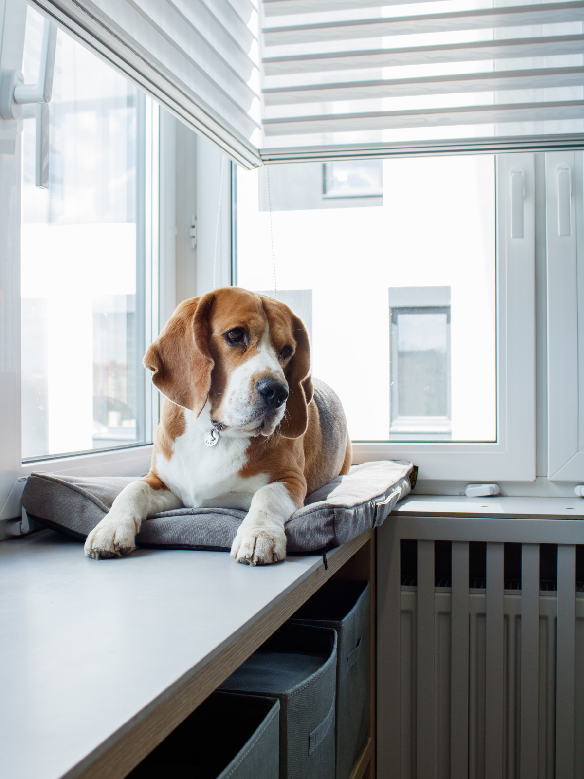 Реализованный проект в ЖК City Life