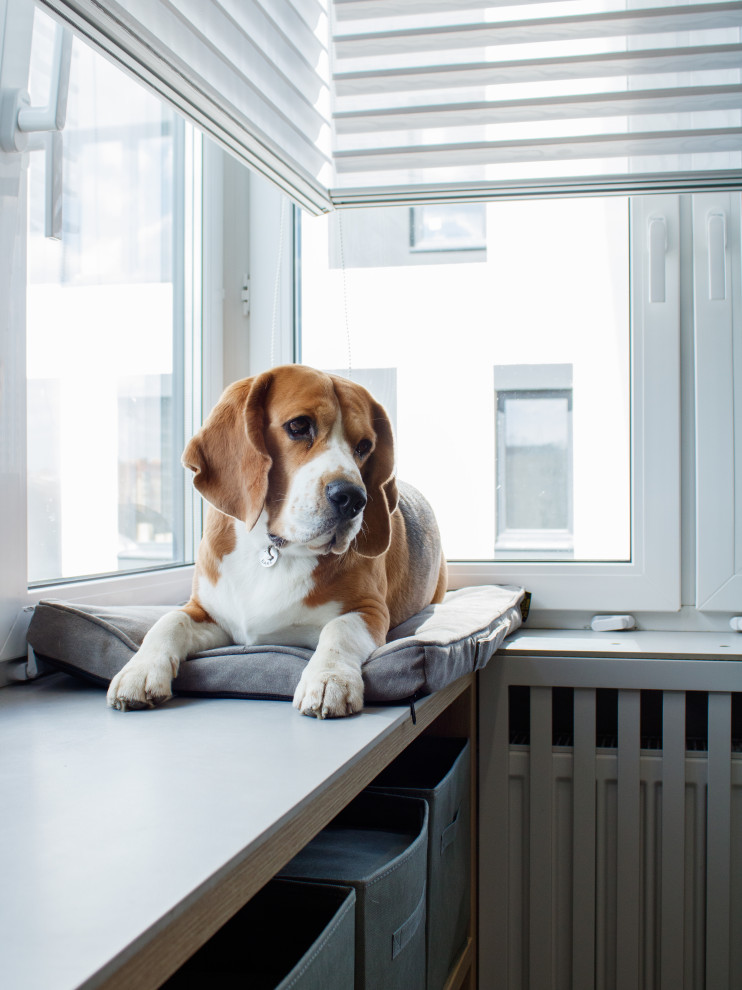 Реализованный проект в ЖК City Life