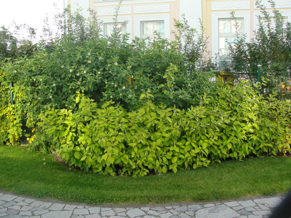 северный версаль