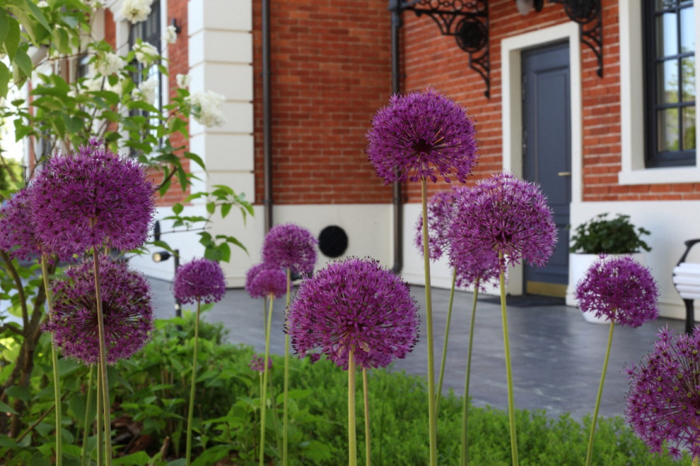 Тихая роскошь