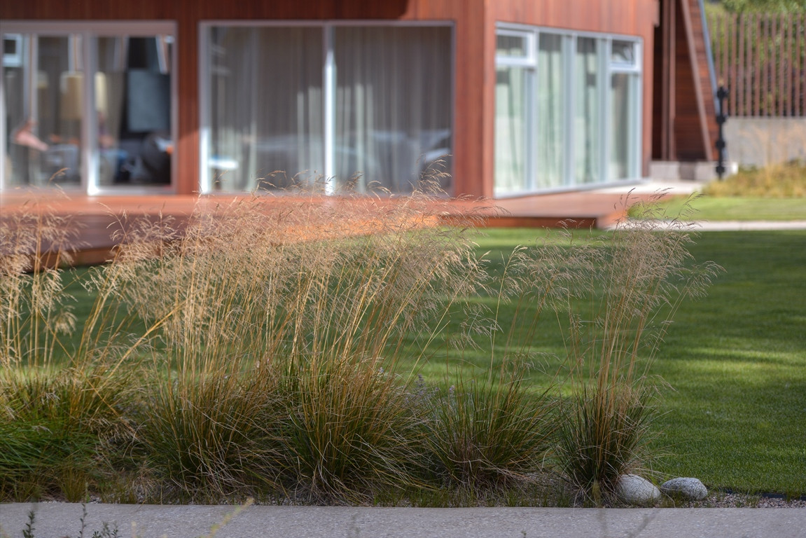 Успенский Лес