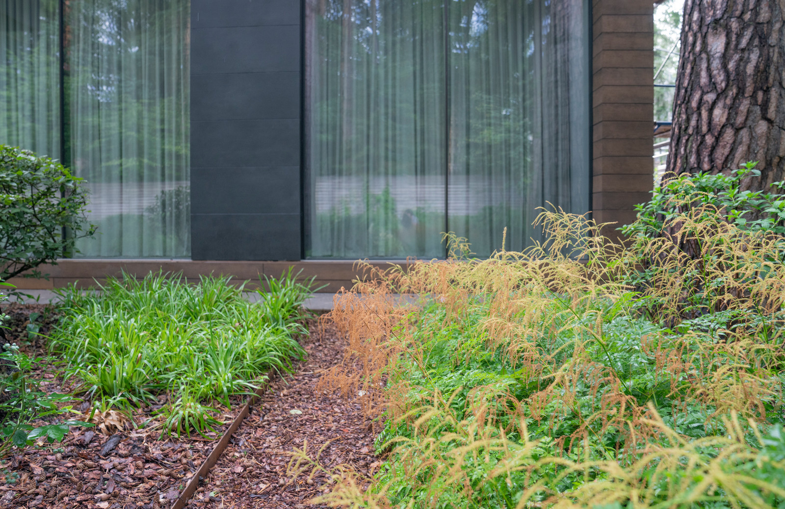 В гармонии с лесом. Модернистский сад. КП Новоуспенский 2020 г