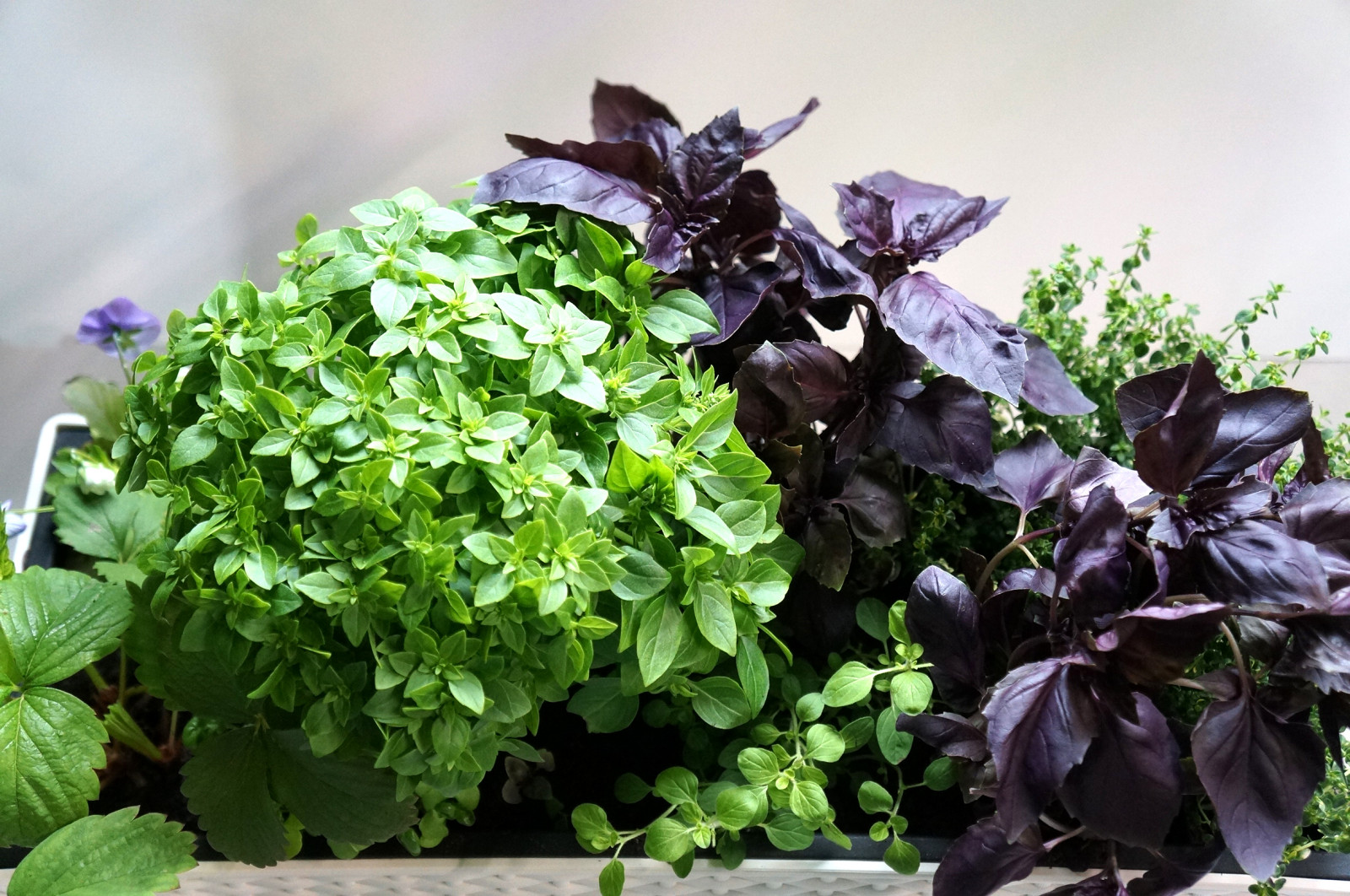 Балкон в голубых тонах