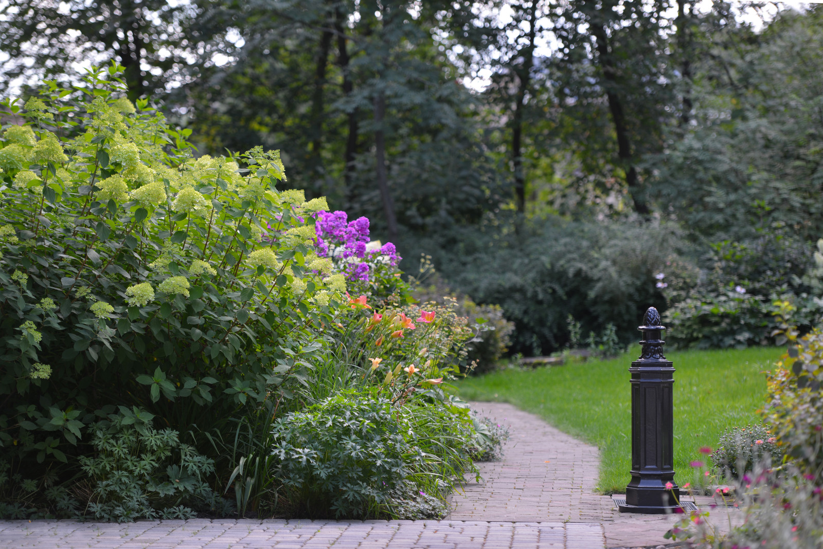 Проект "Волны".Пять лет спустя