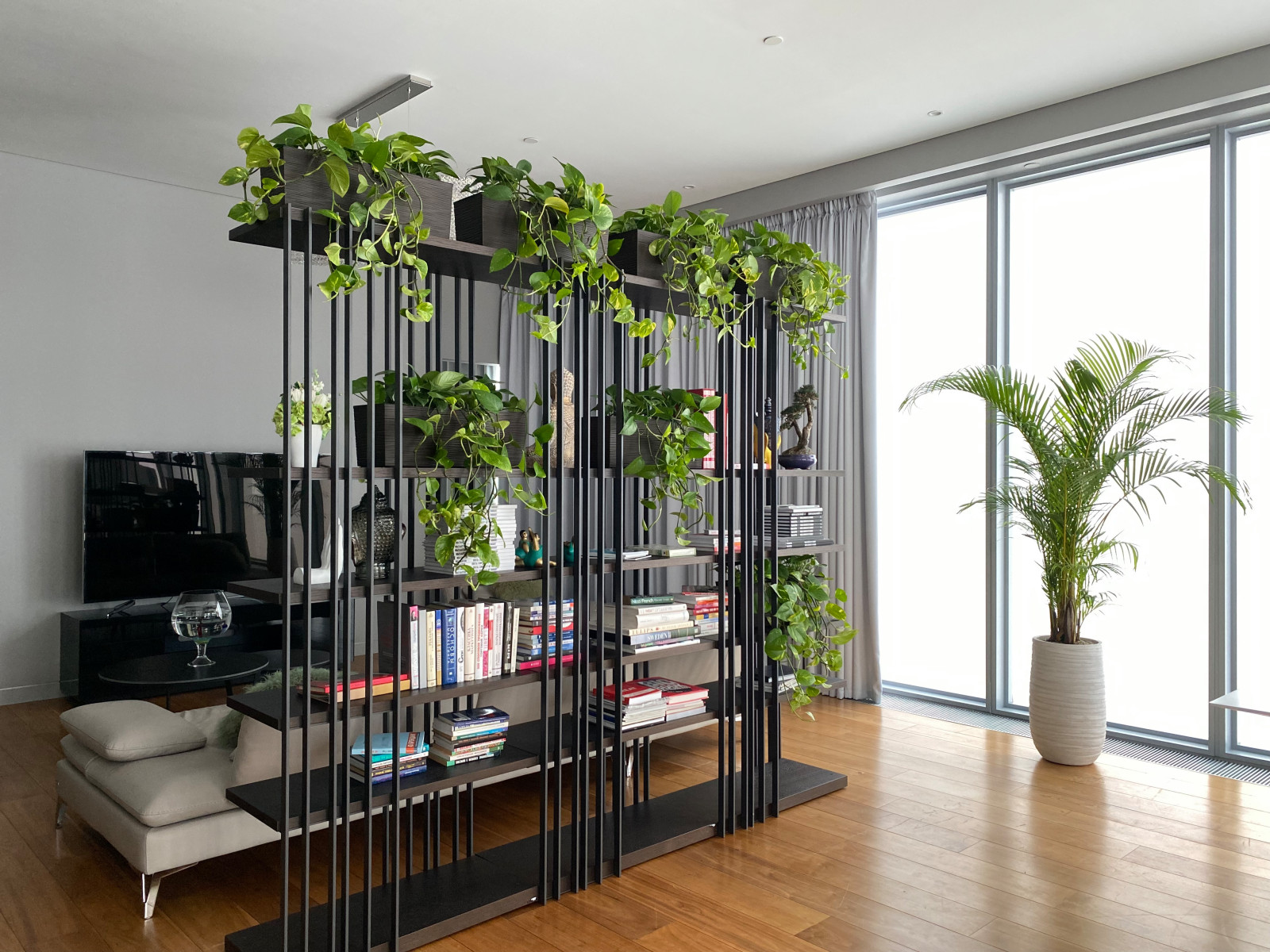 Озеленение гостиной