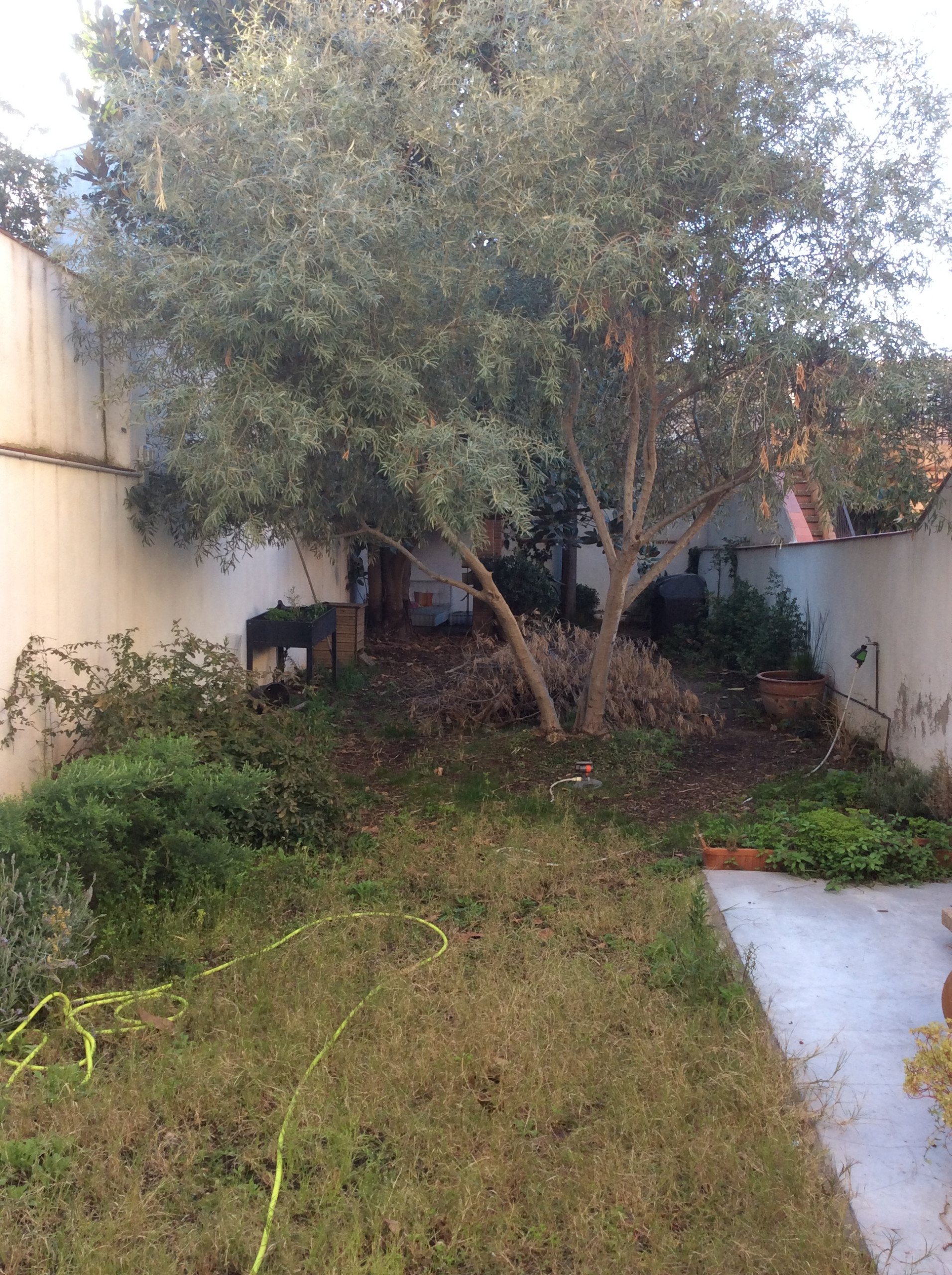 Houzz в саду: Тотальная реконструкция узкого сада