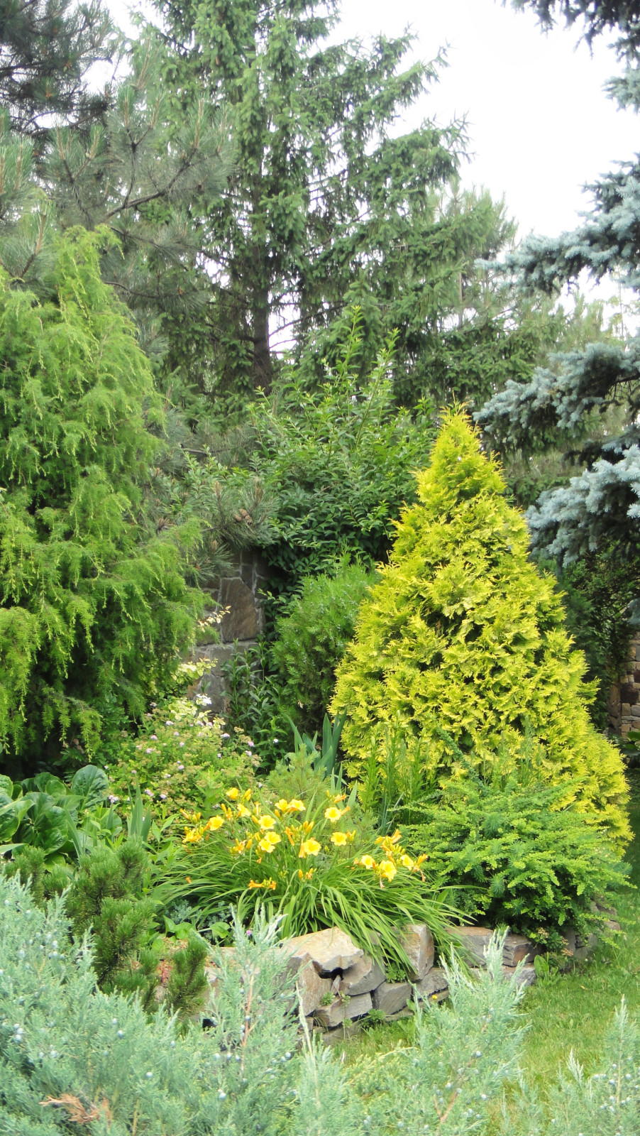 Ландшафт участка