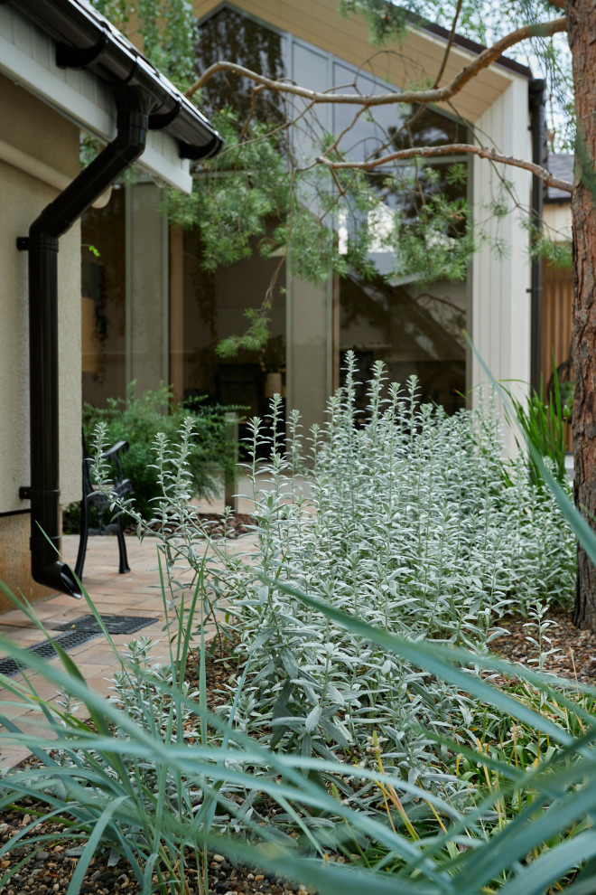 Чистые линии