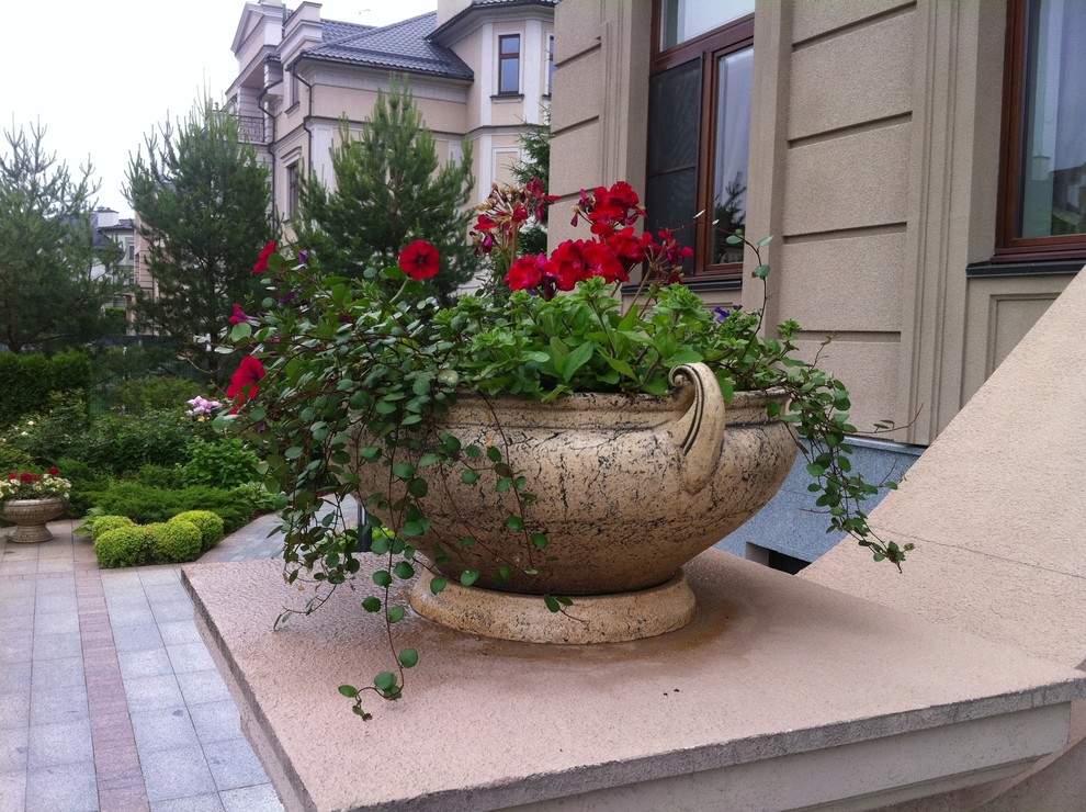 Современный сад