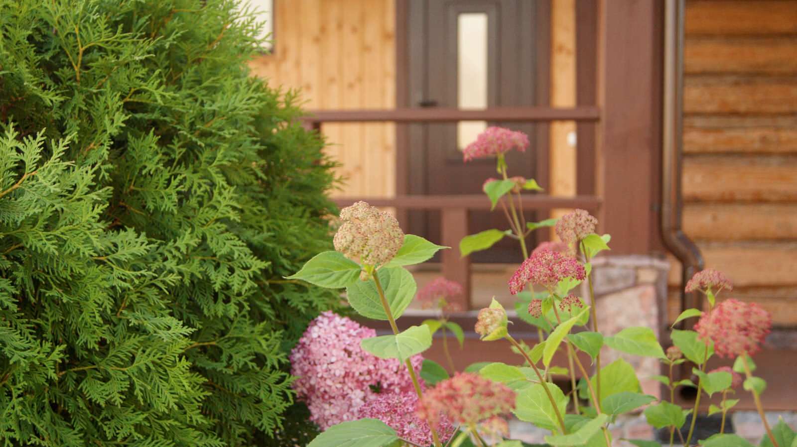 ИЗ ВАРЯГ В ГРЕКИ