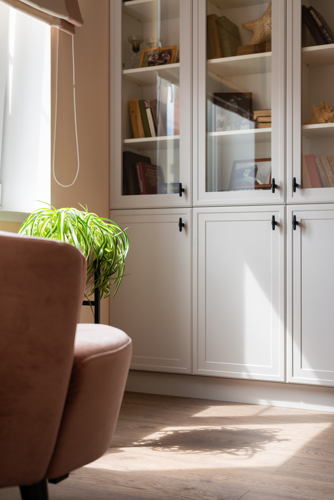 Фотография гостиной, книжный шкаф