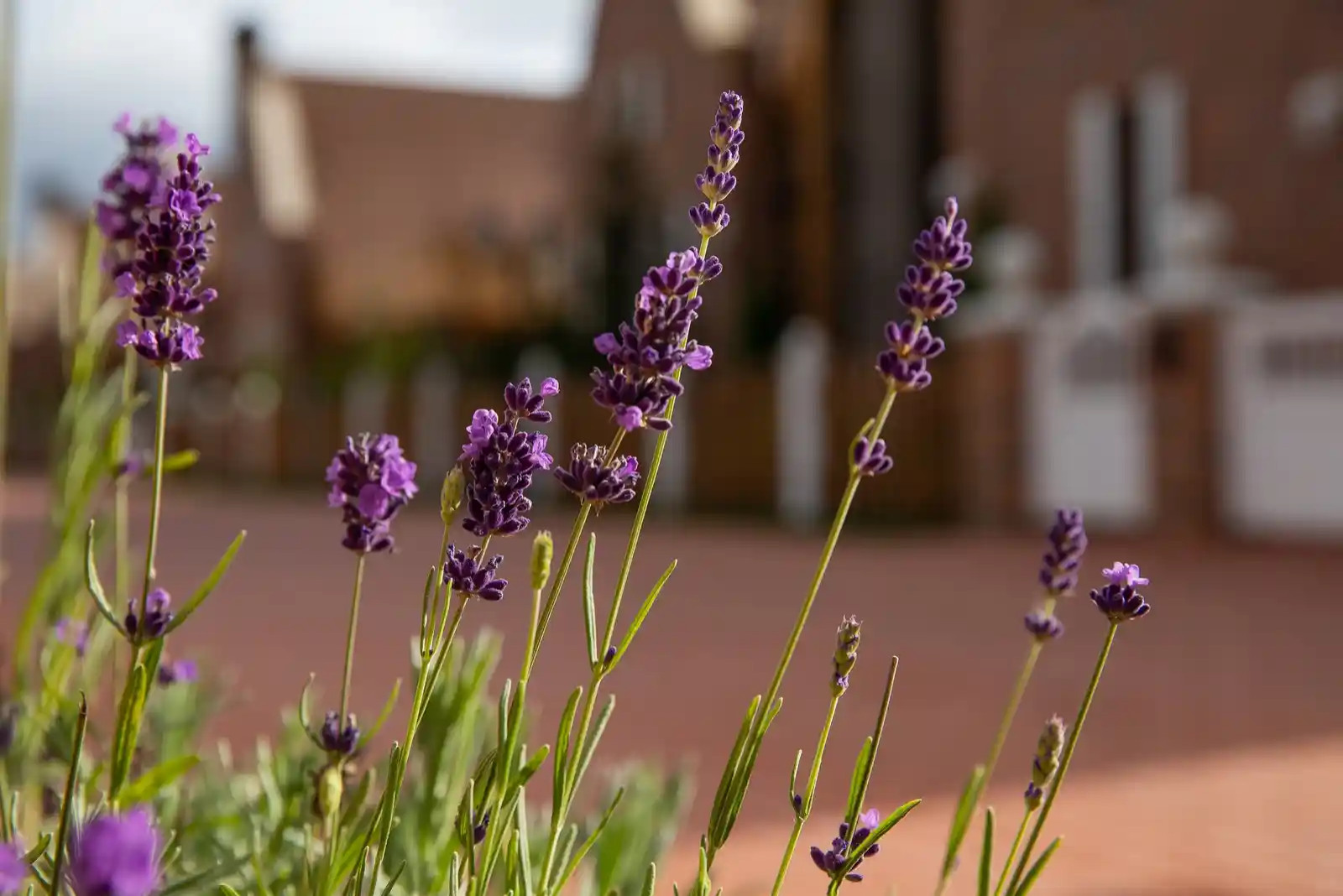 «ПРО ГАРМОНИЮ»