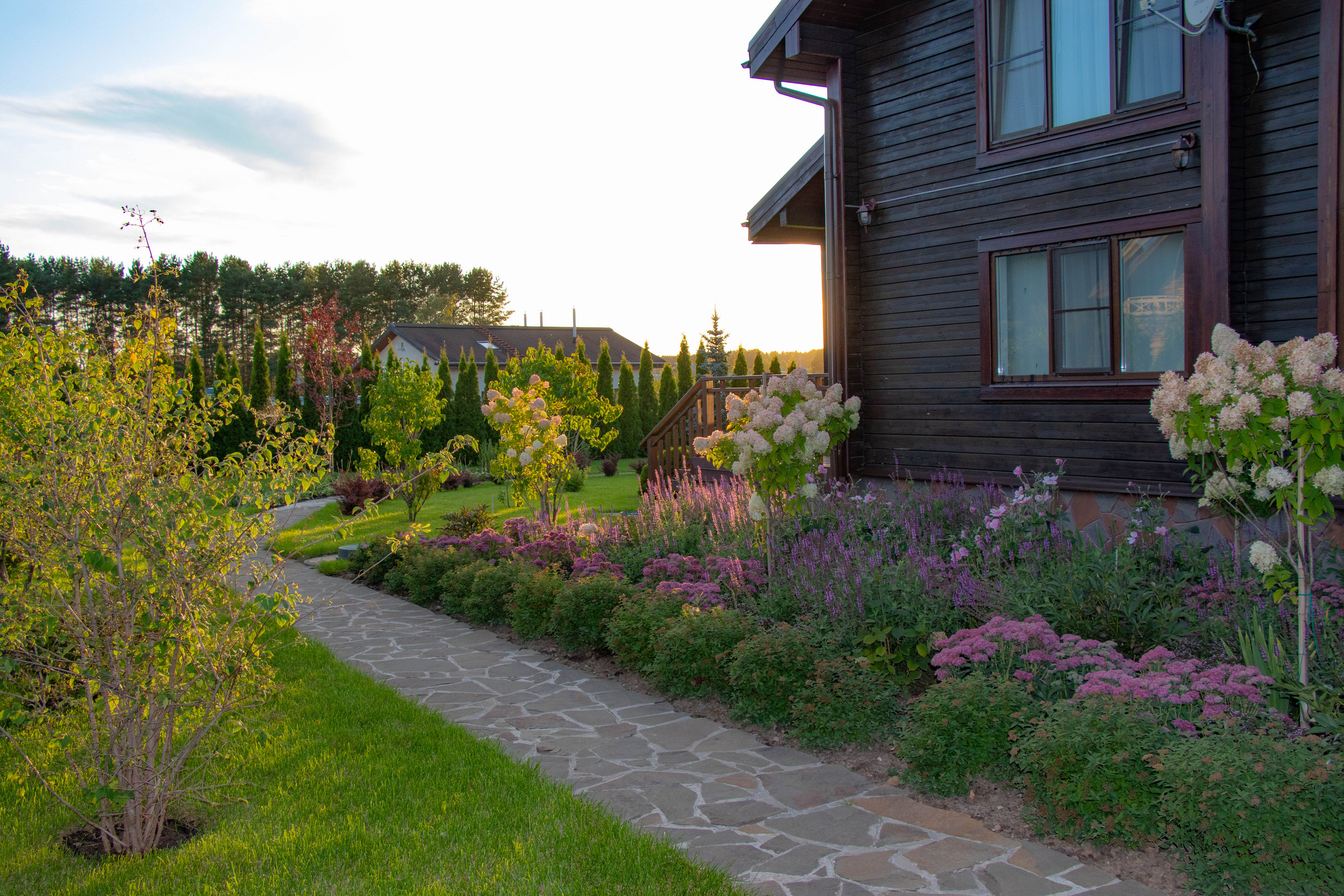 Сосновые берега