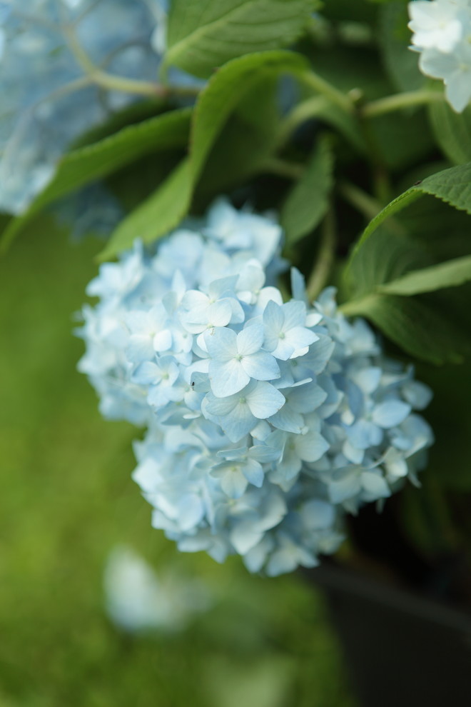 Балкон в экостиле