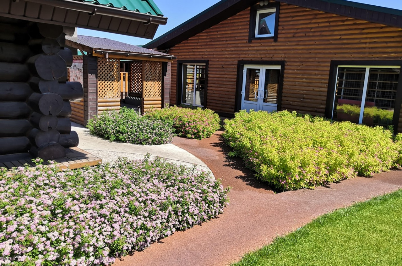 Фитопластика на общественной территории