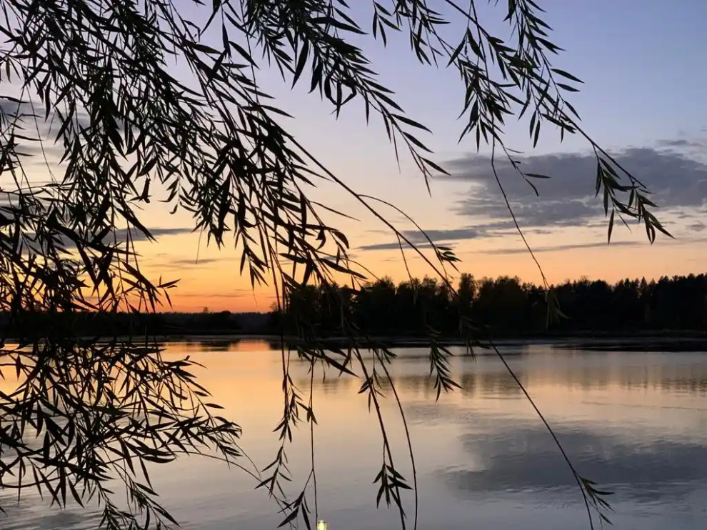 «НА ЗАПОВЕДНЫХ БЕРЕГАХ»