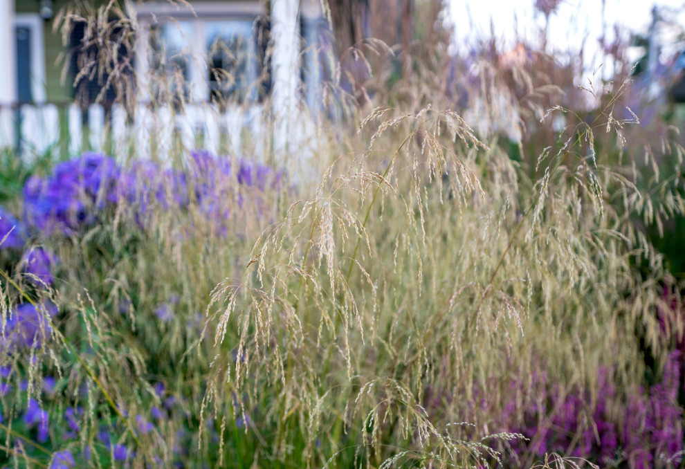 Дергаево - Цвет и нежность