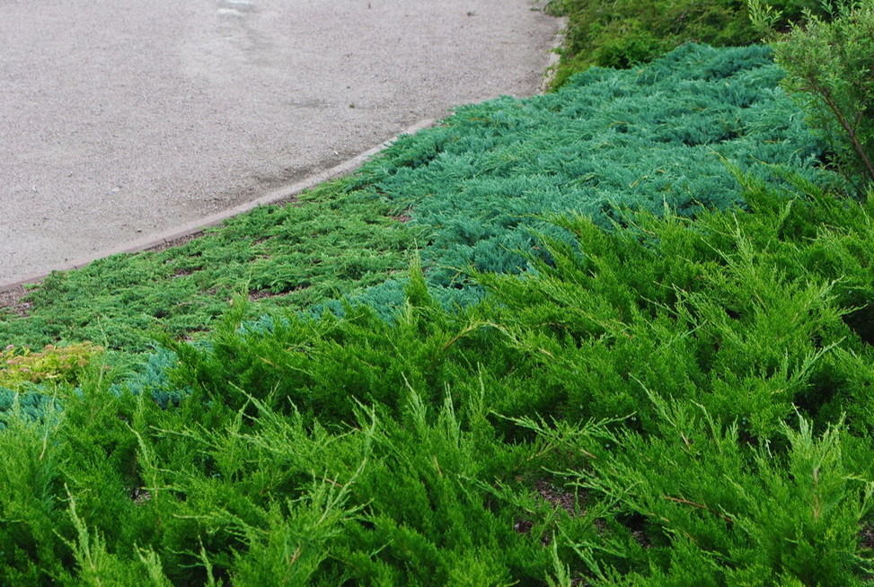 Валаам...Земля -загадка ..и большая наша любовь