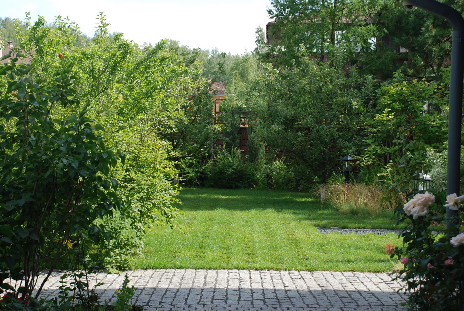 Современный сад в КП "Променад"