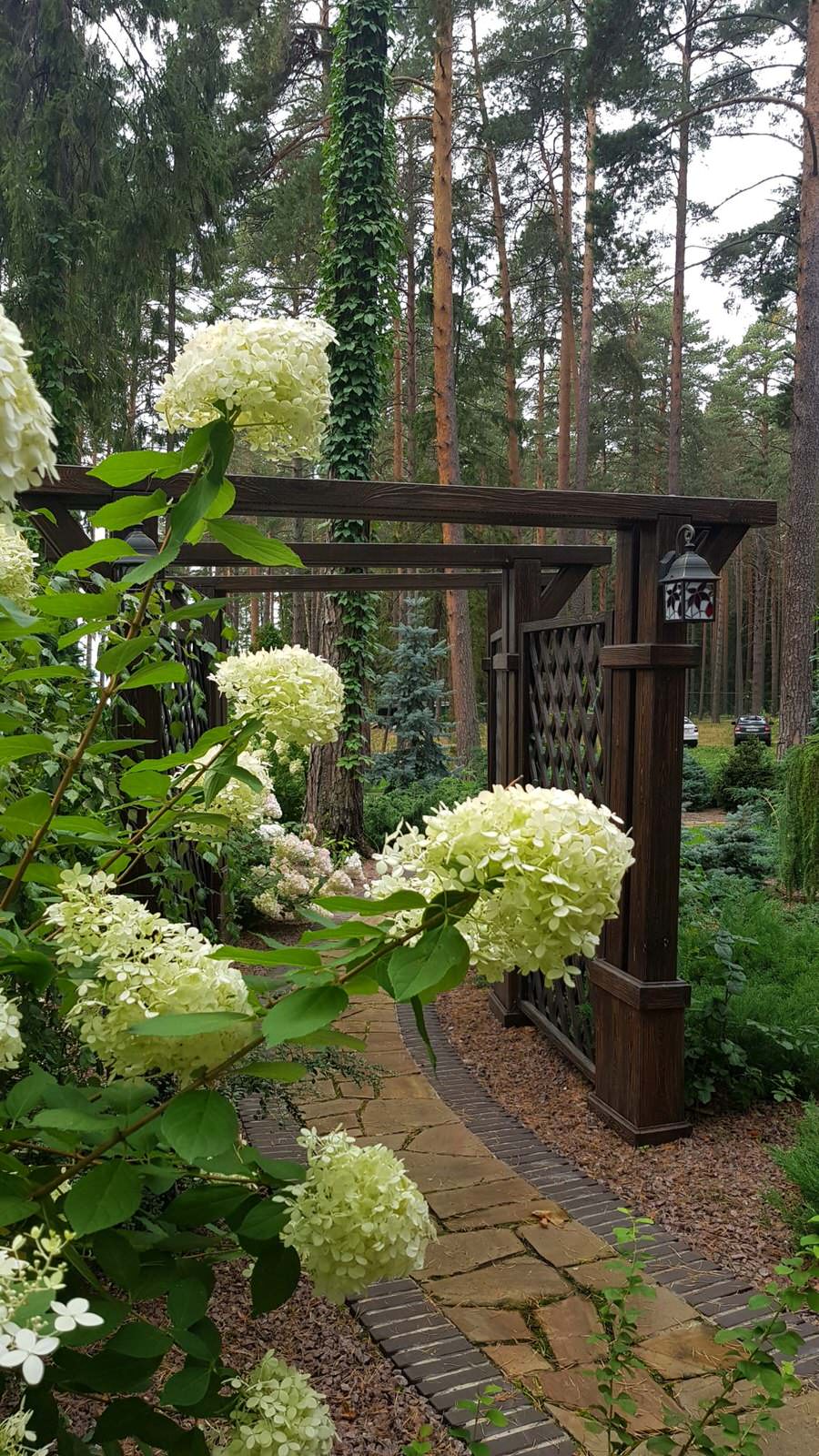 «Пряничный домик» в сосновом бору