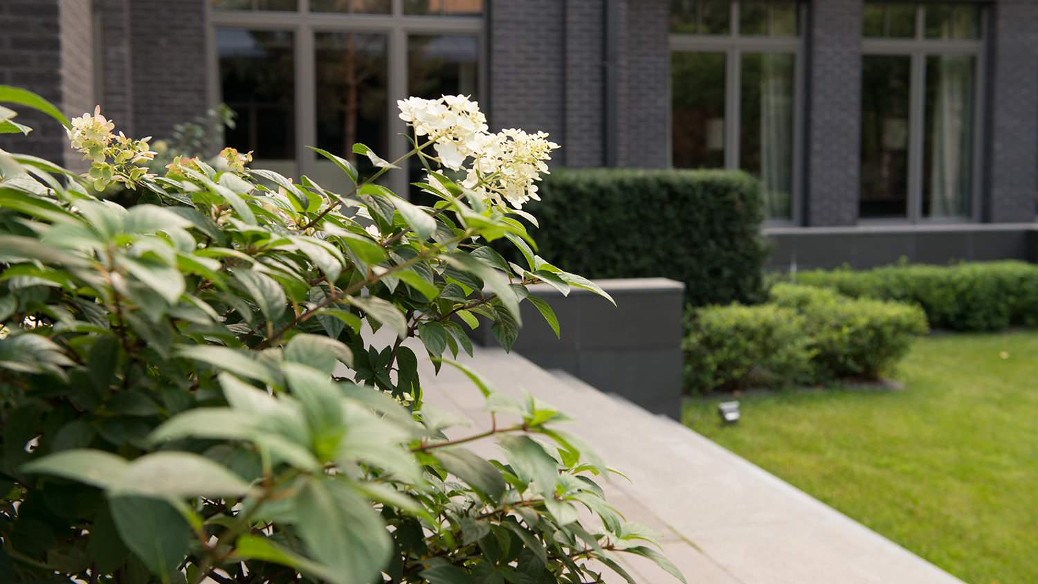 Сад пять уровней комфорта