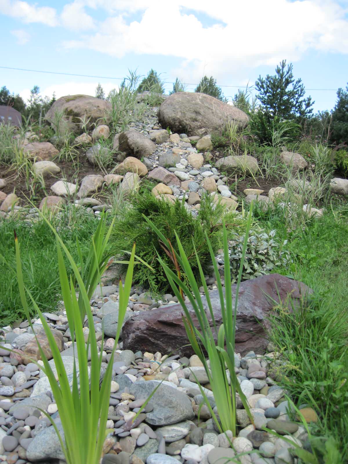 Фоновое изображение профиля Марина Александрова