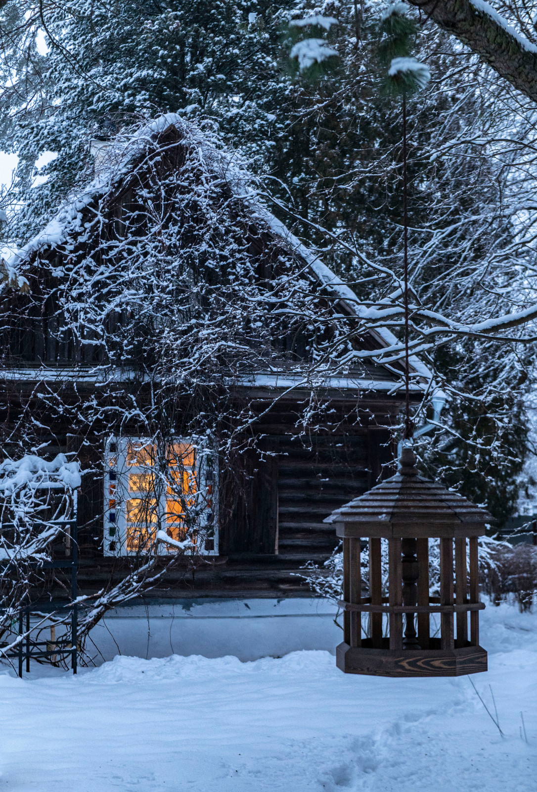 Женя Жданова Таруса, Сад Ракицкого