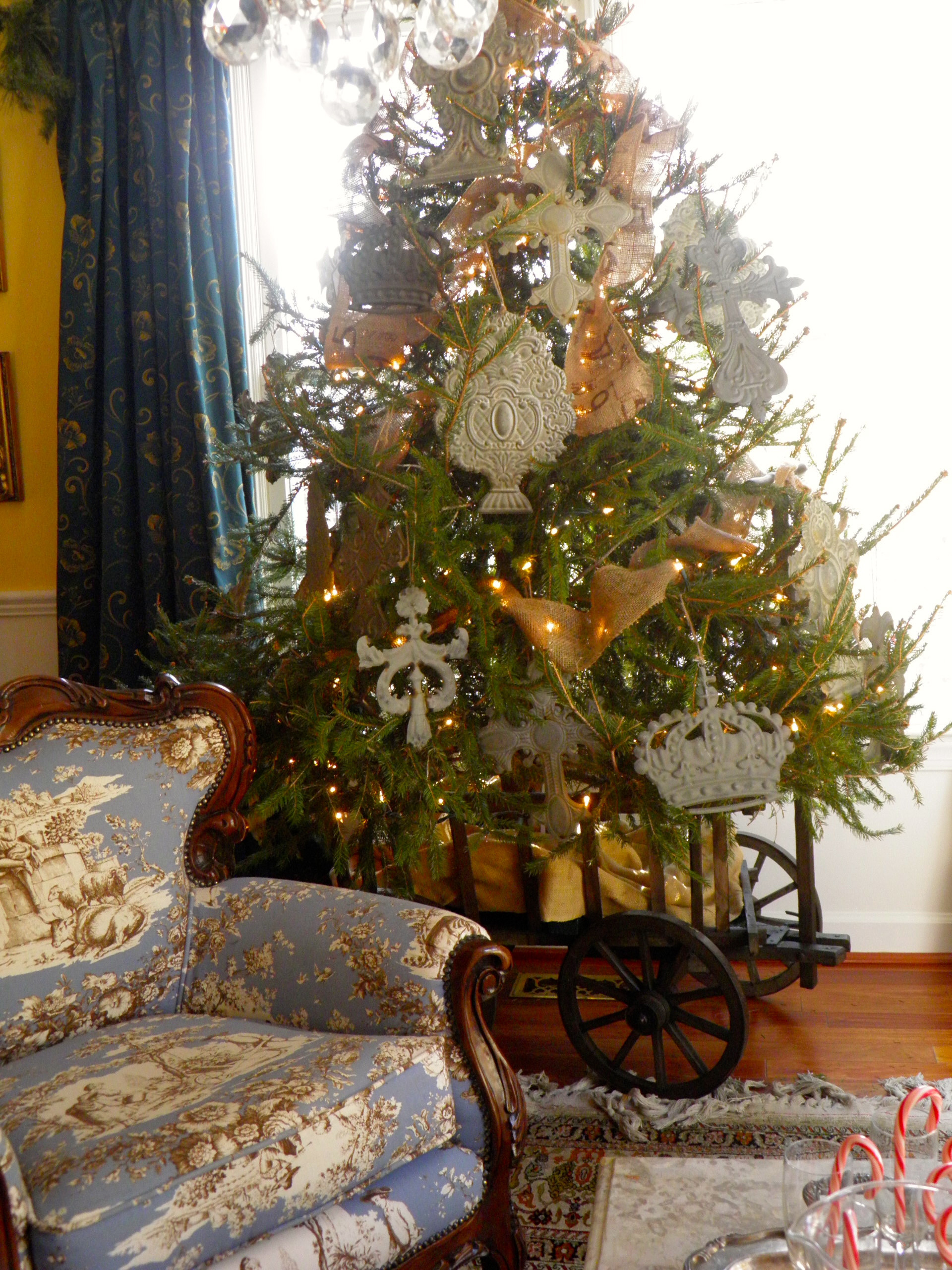 Новогодняя ель в горшке: Можно ли сохранить ее до весны