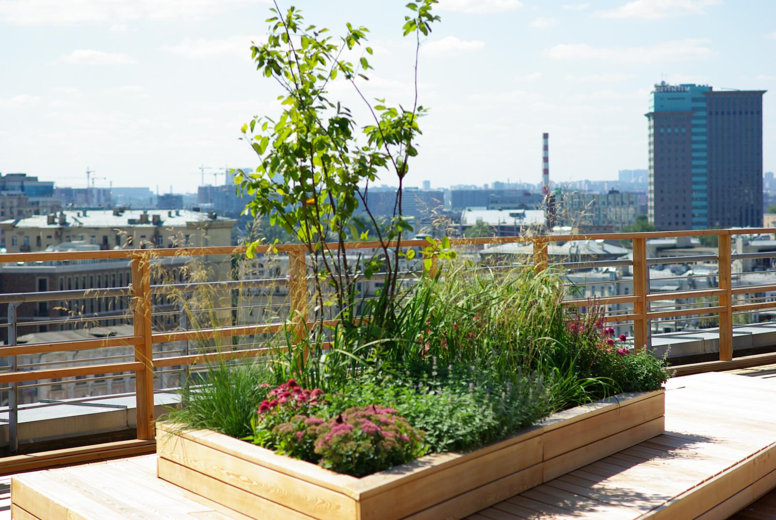 Обложка проекта: Яндекс.Такси