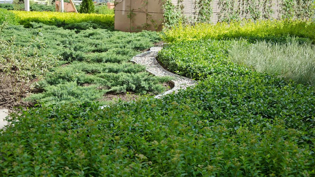 Благоустройство территории ЖК "Центральный"