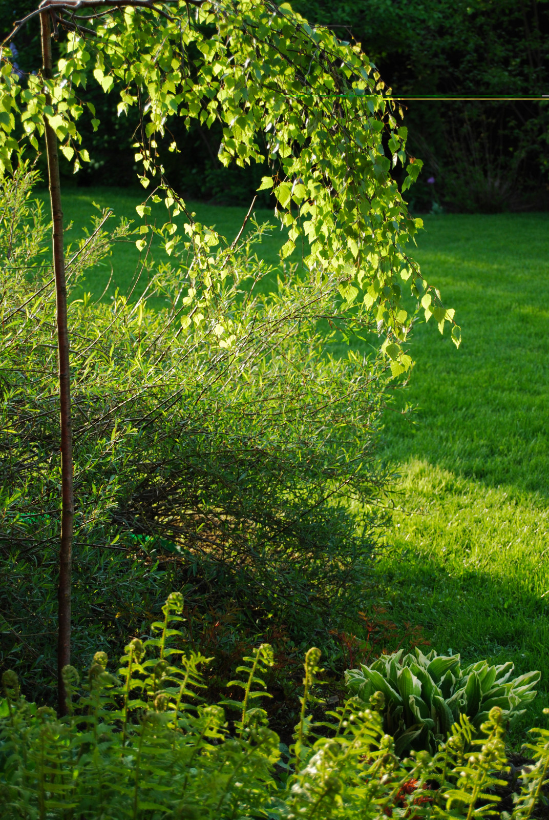 Миксбордеры и цветники. Наши работы прошлых лет.