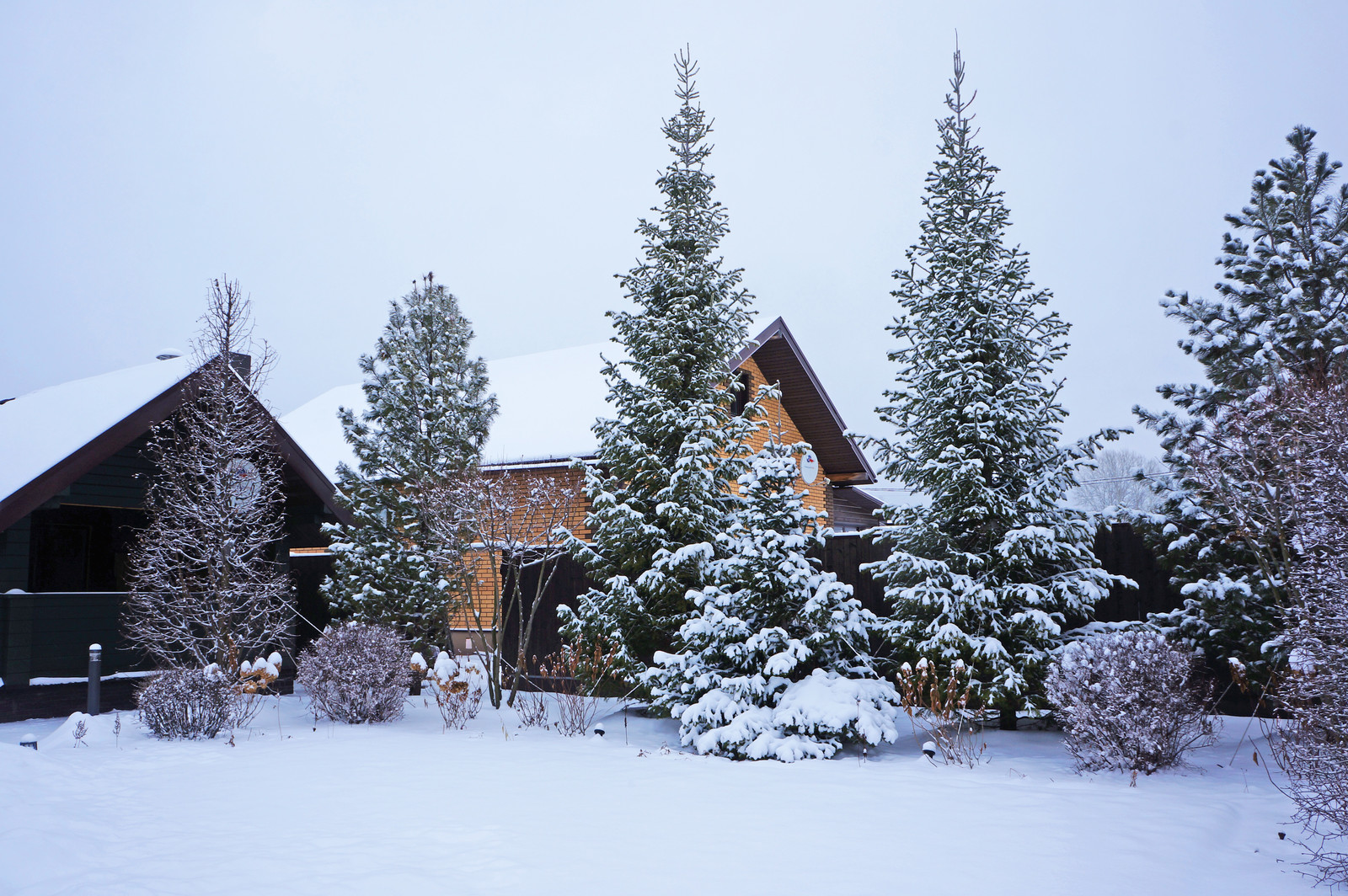 Счастливый сад