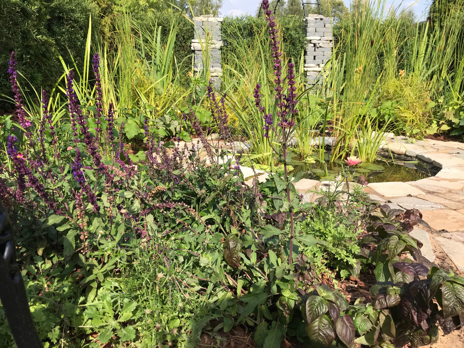 Cottage Garden "Secret Garden" Тайная комната