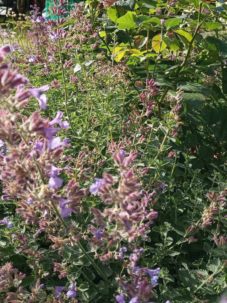 Патио в английском стиле